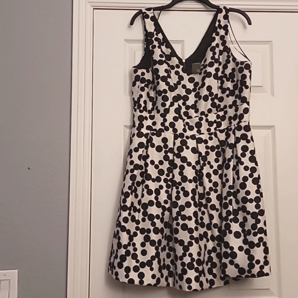 Taylor Black/White Polka Dot Fit & Flare Dress 16